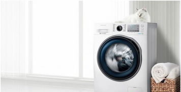 高端市场需求旺盛，智能家电成果平平 家用电器产业的机遇与挑战